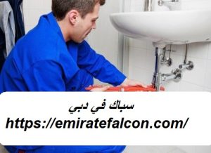 [صورة: %D8%B3%D8%A8%D8%A7%D9%83-%D9%81%D9%8A-%D...00x218.jpg]